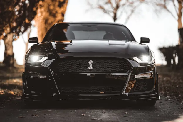 피유알이 카지노 안드로이드/iOS 앱